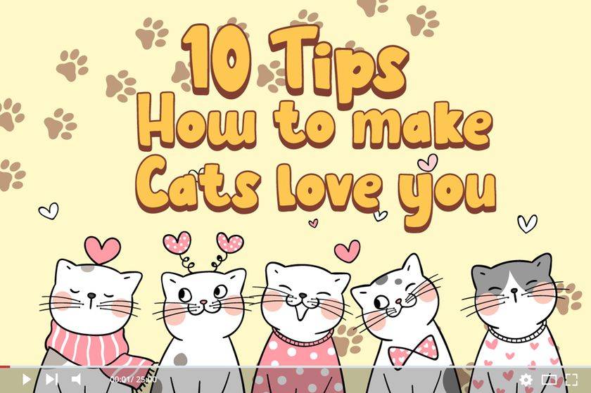 Tabby Font sample