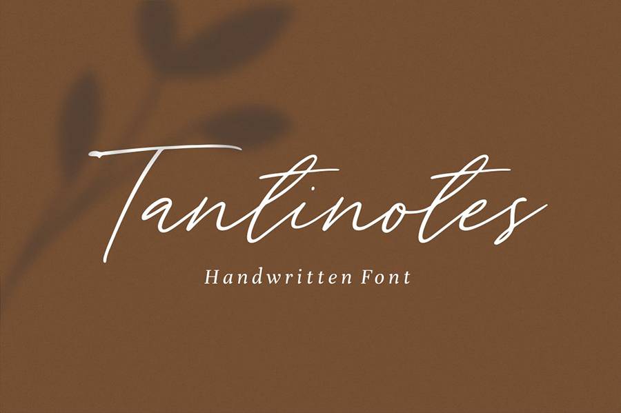 Tantinotes Handwriting Script sample