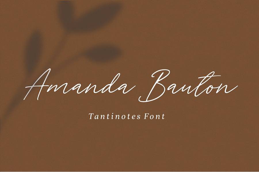 Tantinotes Handwriting Script sample