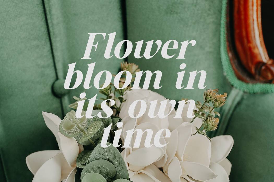 The Billion Butterfly Font sample