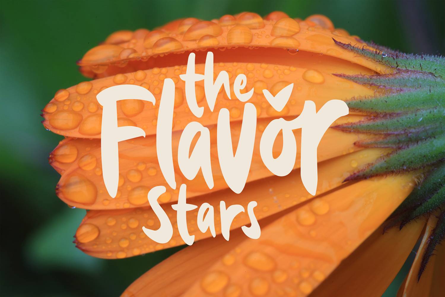 The Bovalo Font sample
