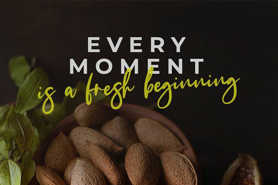 The Fashionist Script Font sample