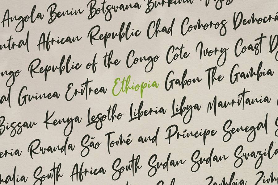 The Fashionist Script Font sample