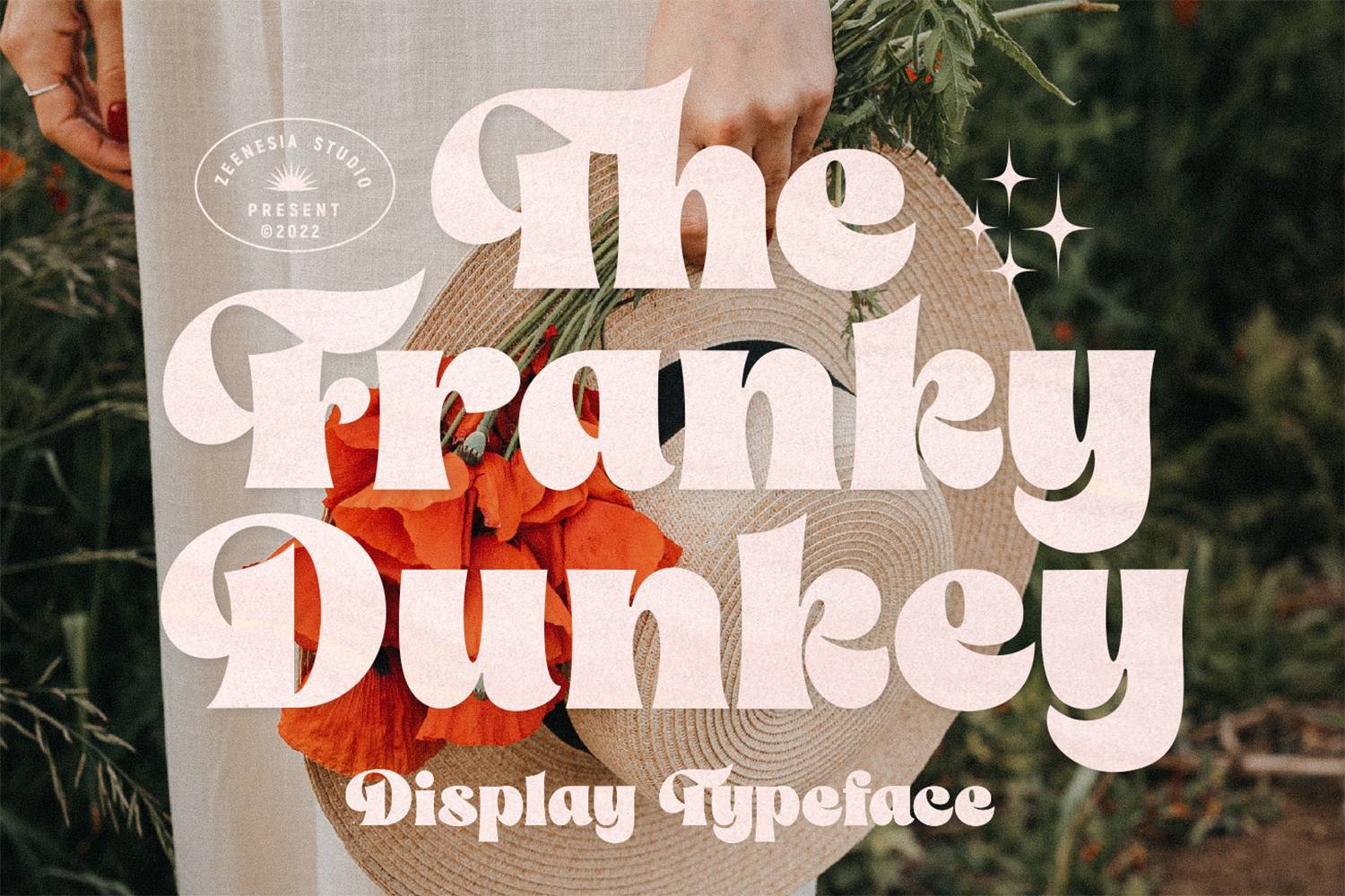 The Franky Dunkey Font sample