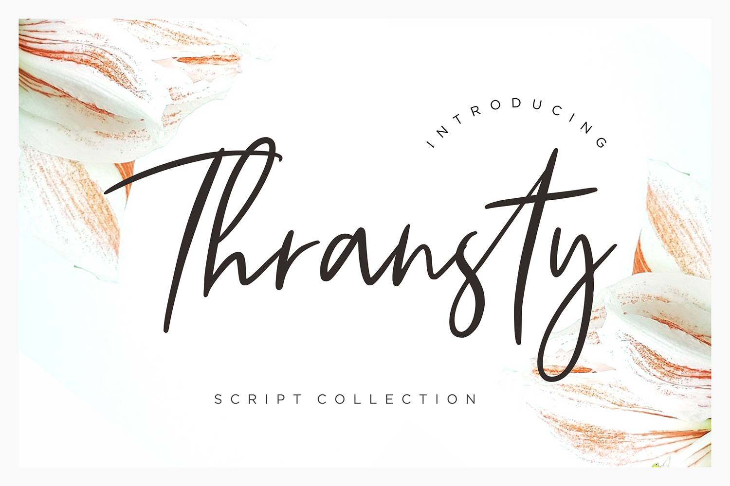 Thransty Font sample