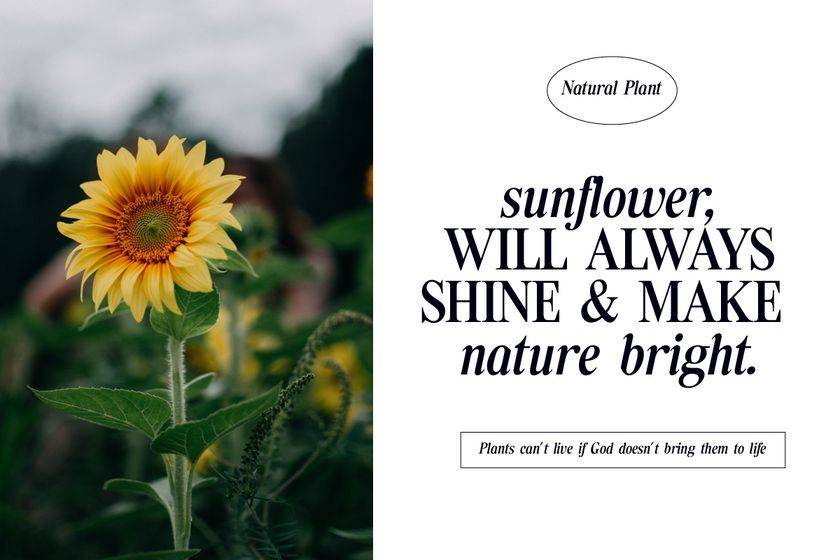 Tiffany Laurence Font sample