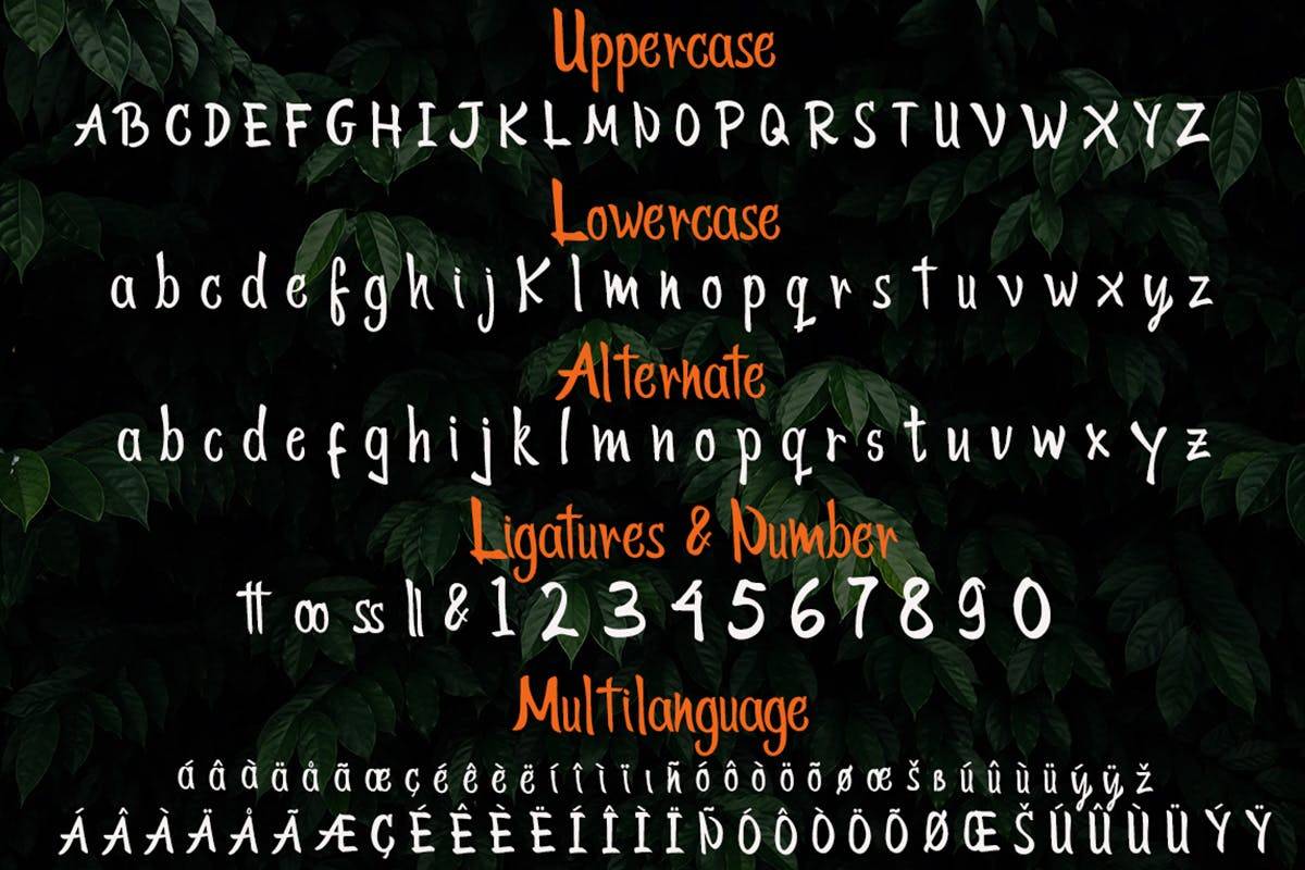 Tokyo Street Handwritten Typeface sample