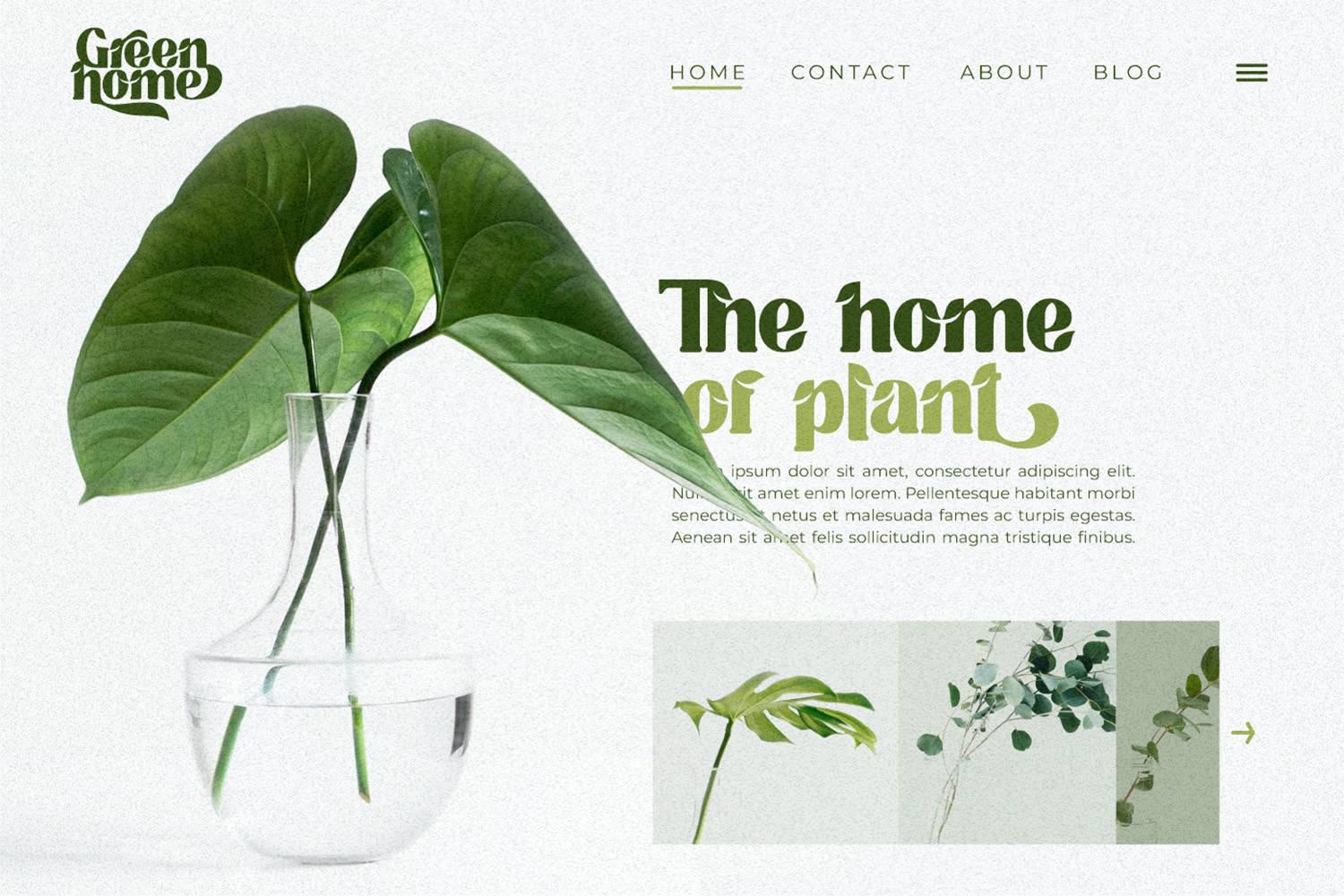 Tropical Taste Font sample