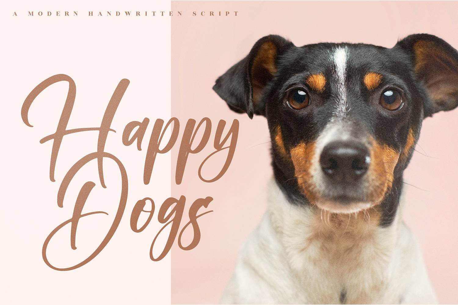 Valenttino Font sample