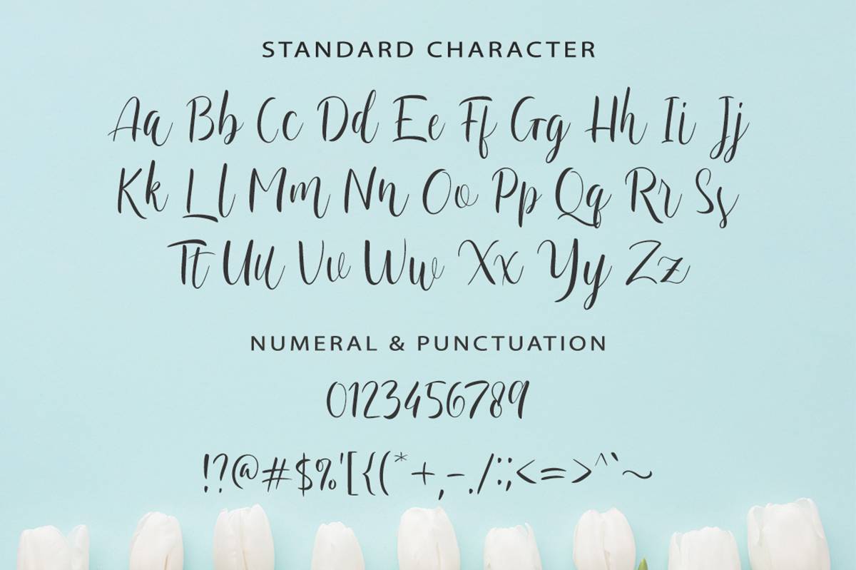 Vallerina Script Font sample