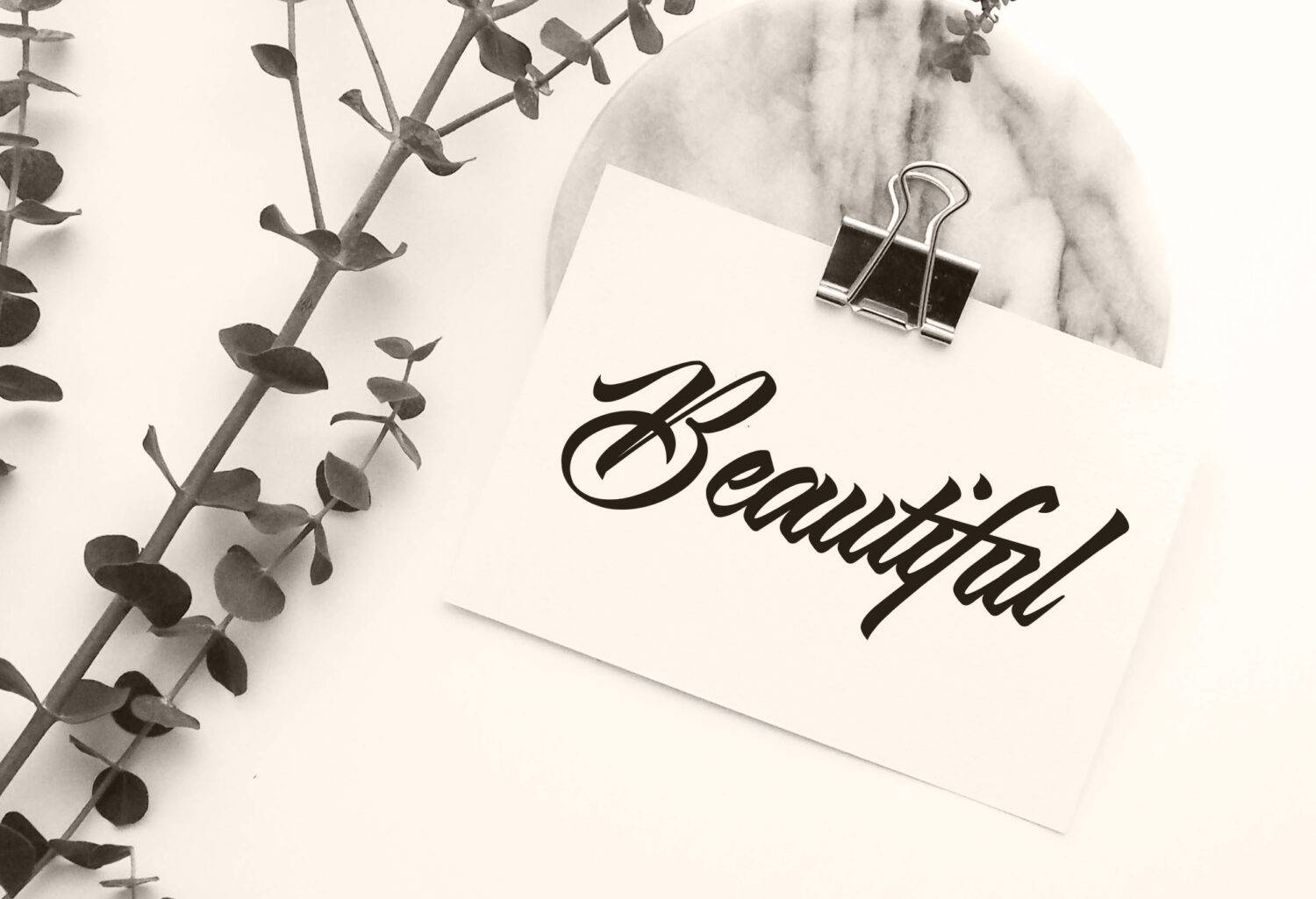 Viana Script Typeface sample