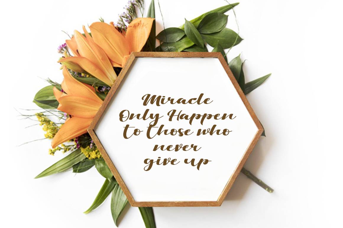Viksi Script sample