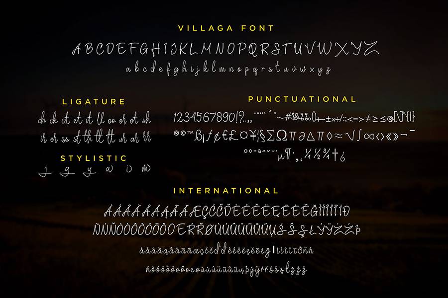 Villaga Stylish Signature Font sample