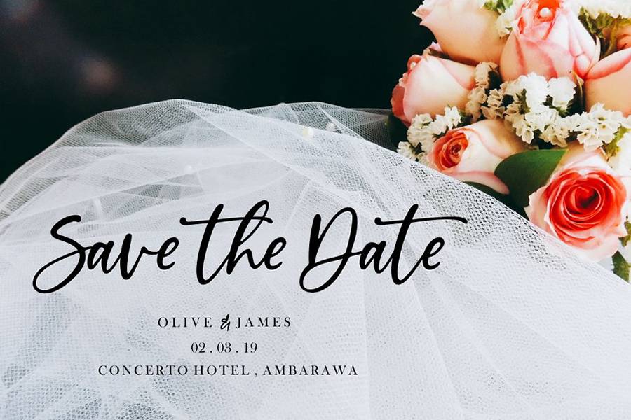 Vista La Diva Script Font sample
