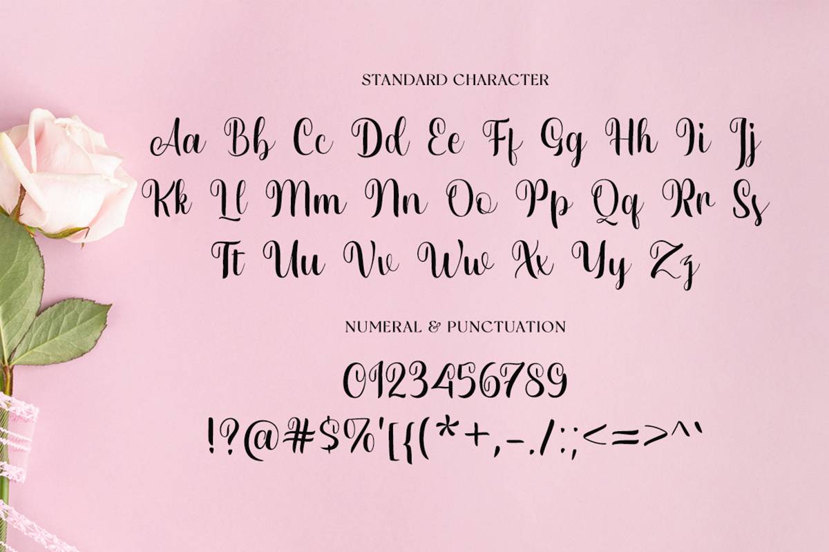 Vonetica Script Font sample