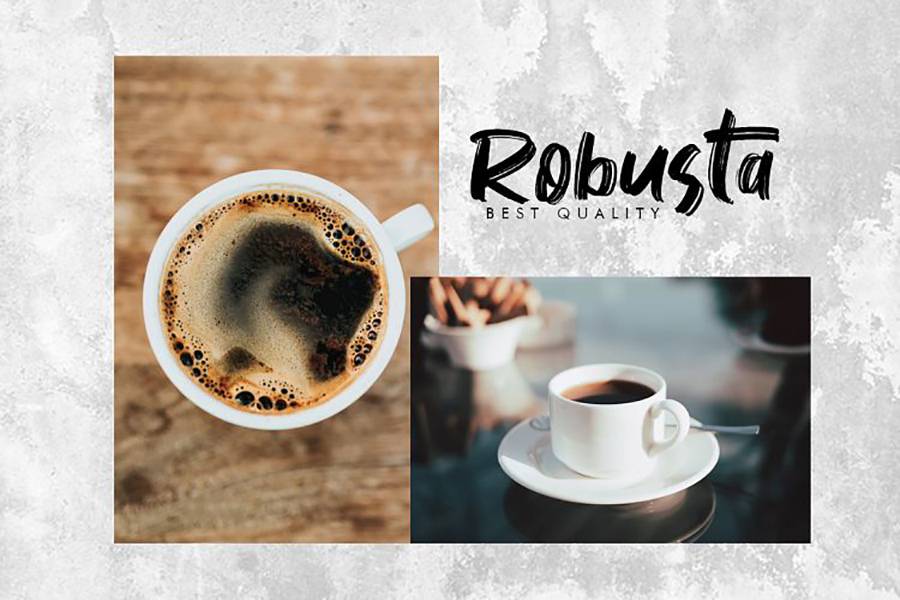Vontens Handwriting Brush Font sample