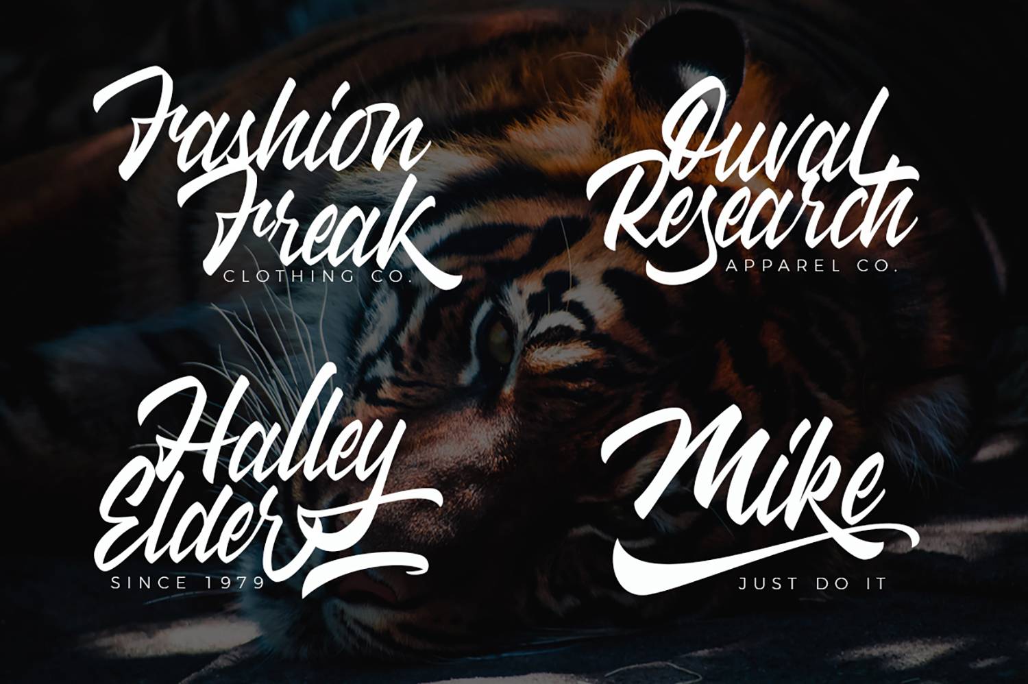 Wakanda Script Font sample