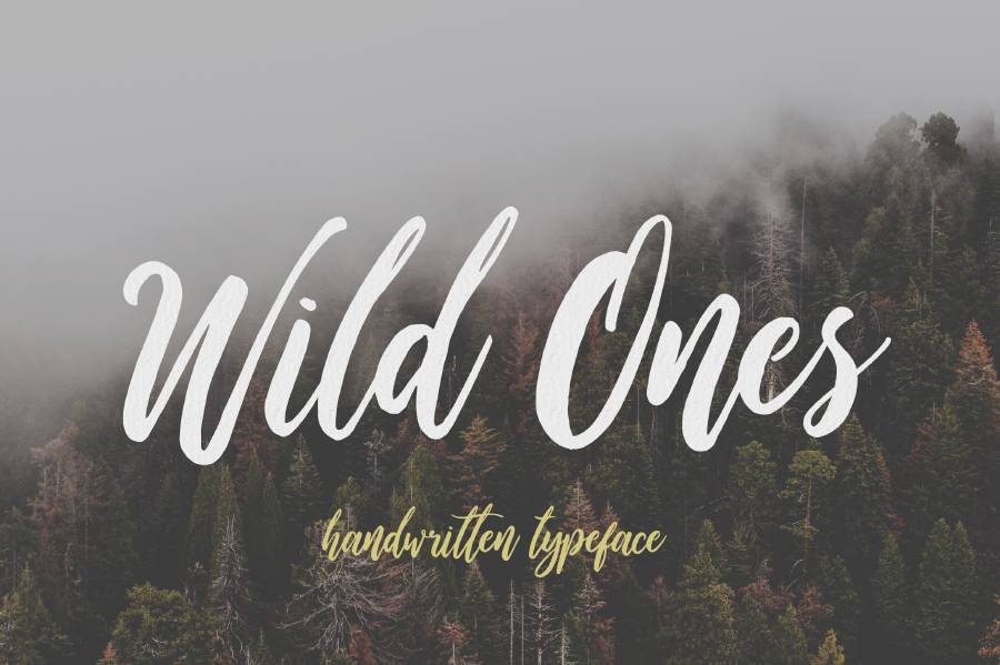 Wild Ones Demo Font sample
