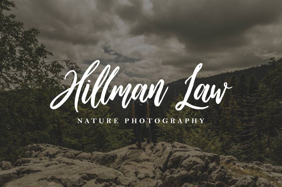 Wild Ones Demo Font sample