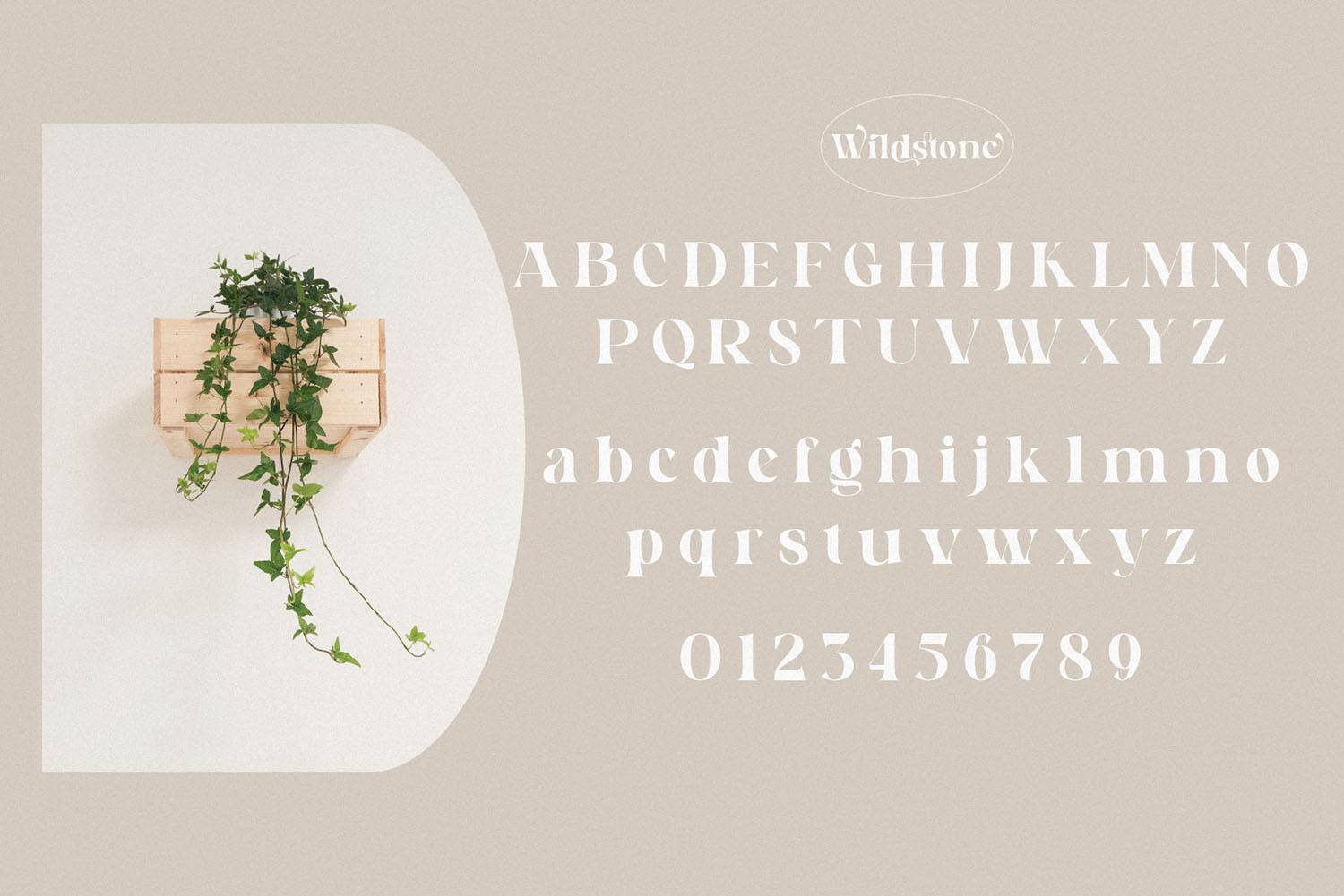 Wildstone Font sample