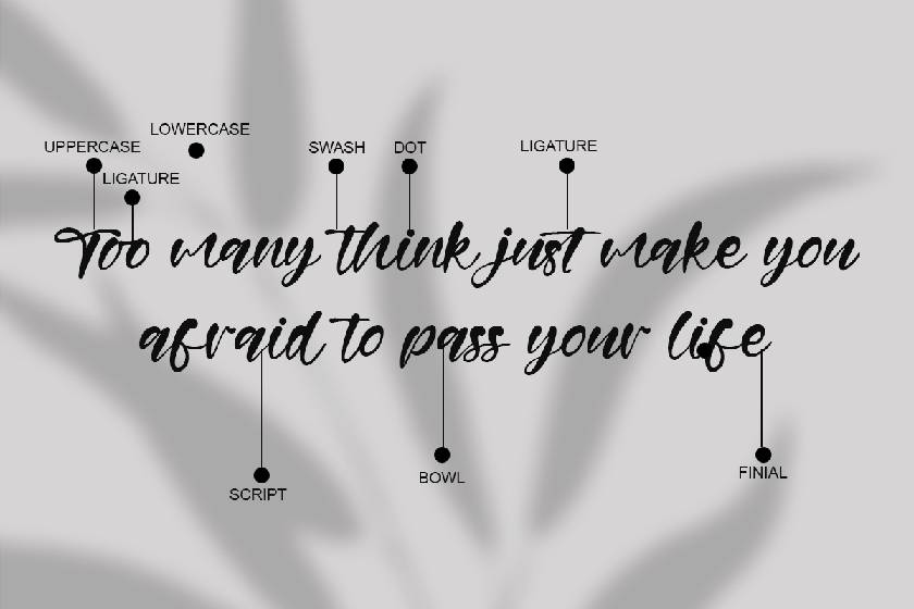 Windy Allan Font sample