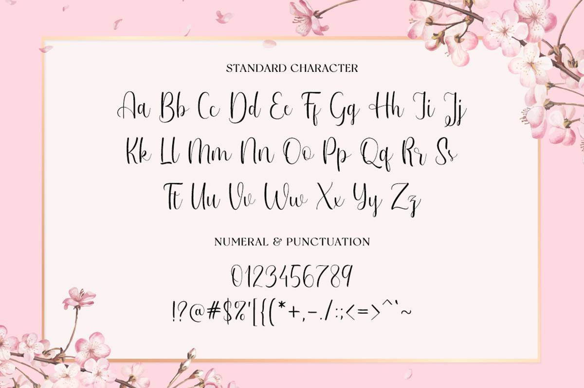 Winsleta Script Font sample