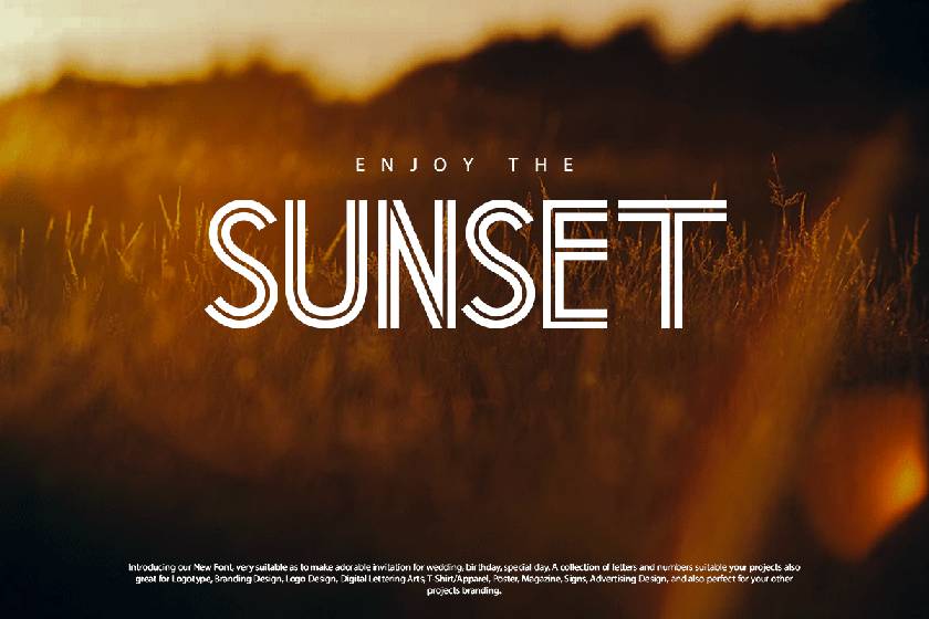 Wise Font sample