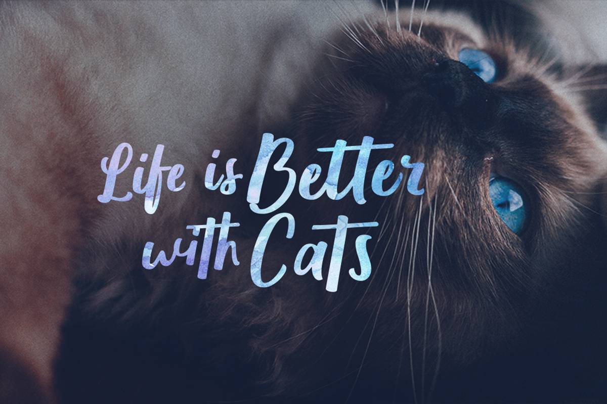 Wolesbro Font sample