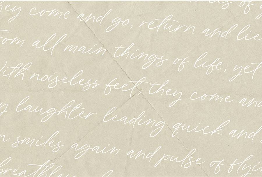 Wonder Bay Script Demo Font sample