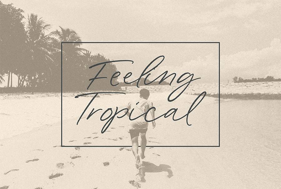 Wonder Bay Script Demo Font sample