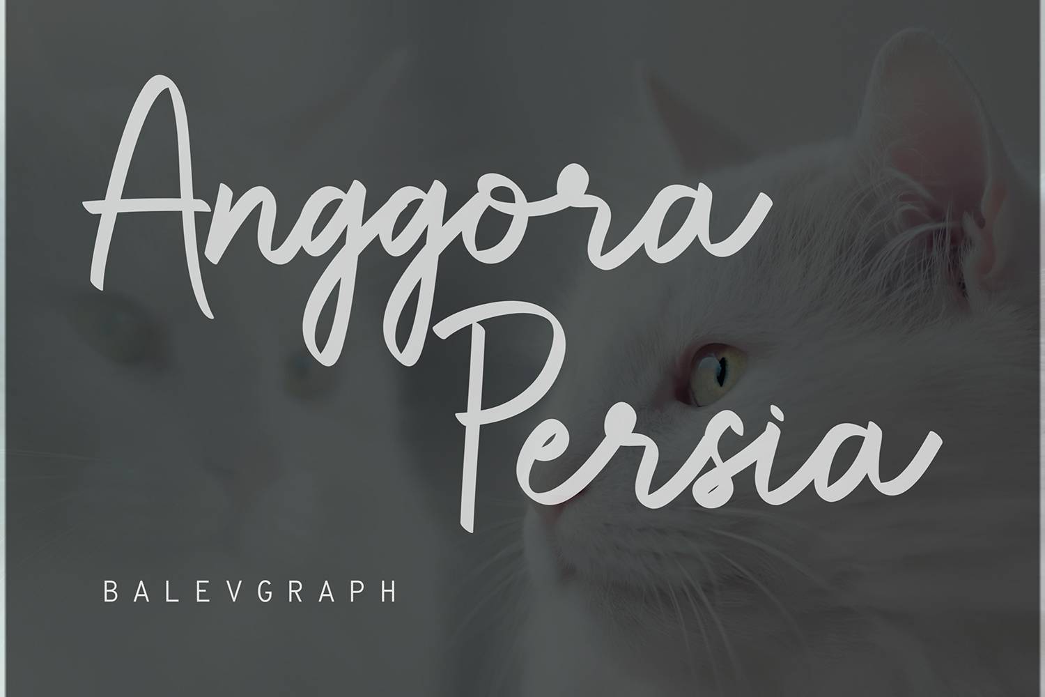 Wullany Font sample