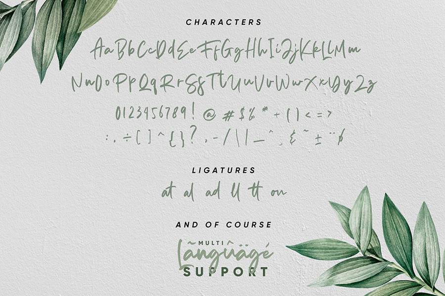Aedesty Script Demo Font sample