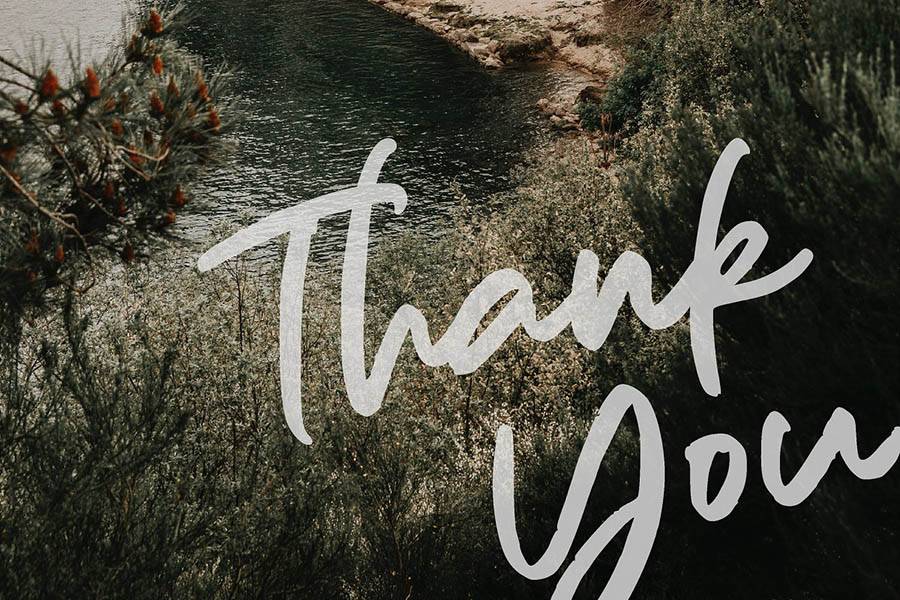 Aedesty Script Demo Font sample