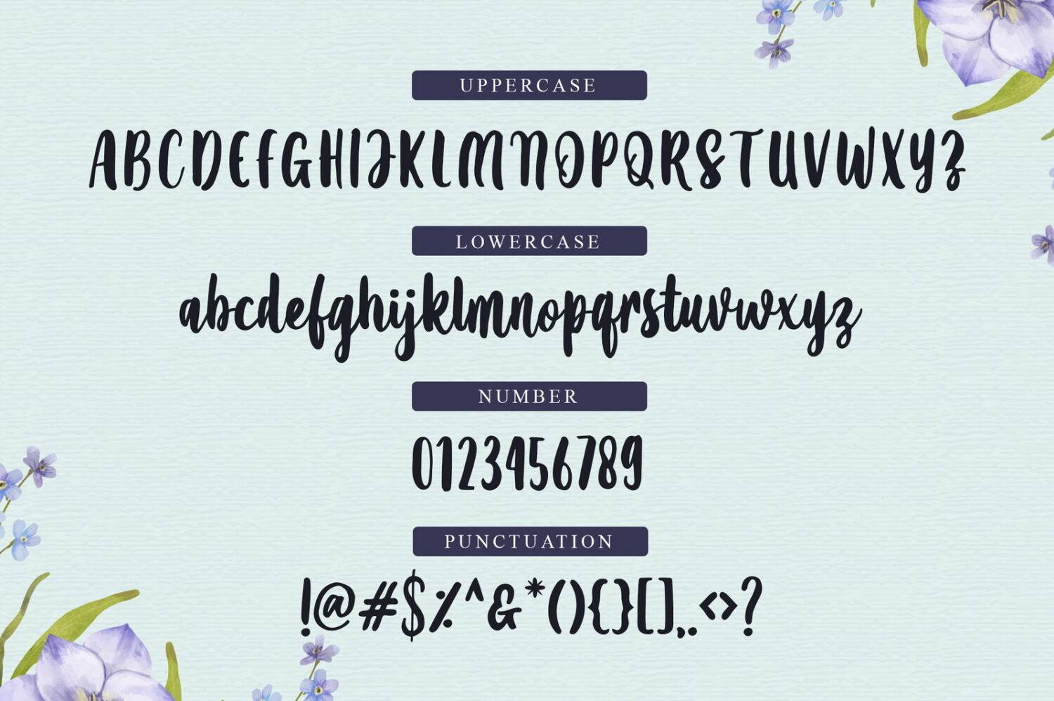 Amanise Script Font Demo sample