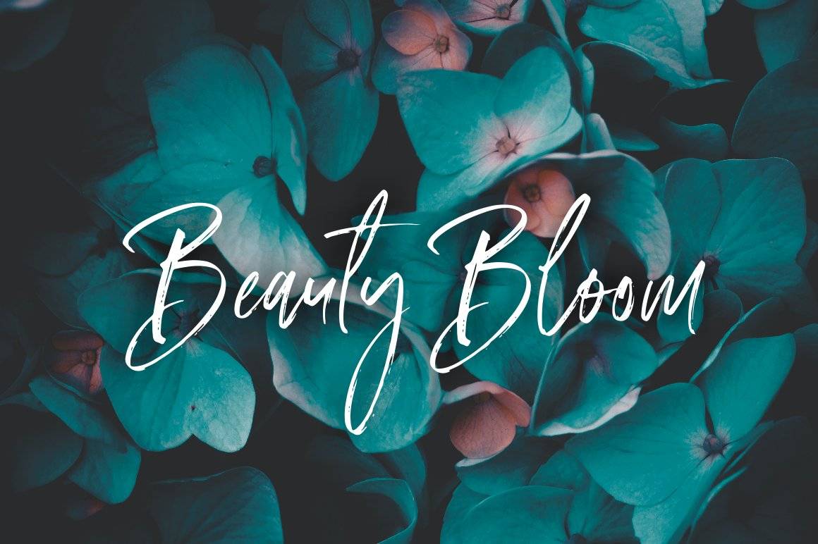 Amourist Handlettering Script Font sample