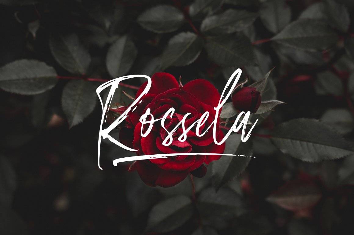 Amourist Handlettering Script Font sample