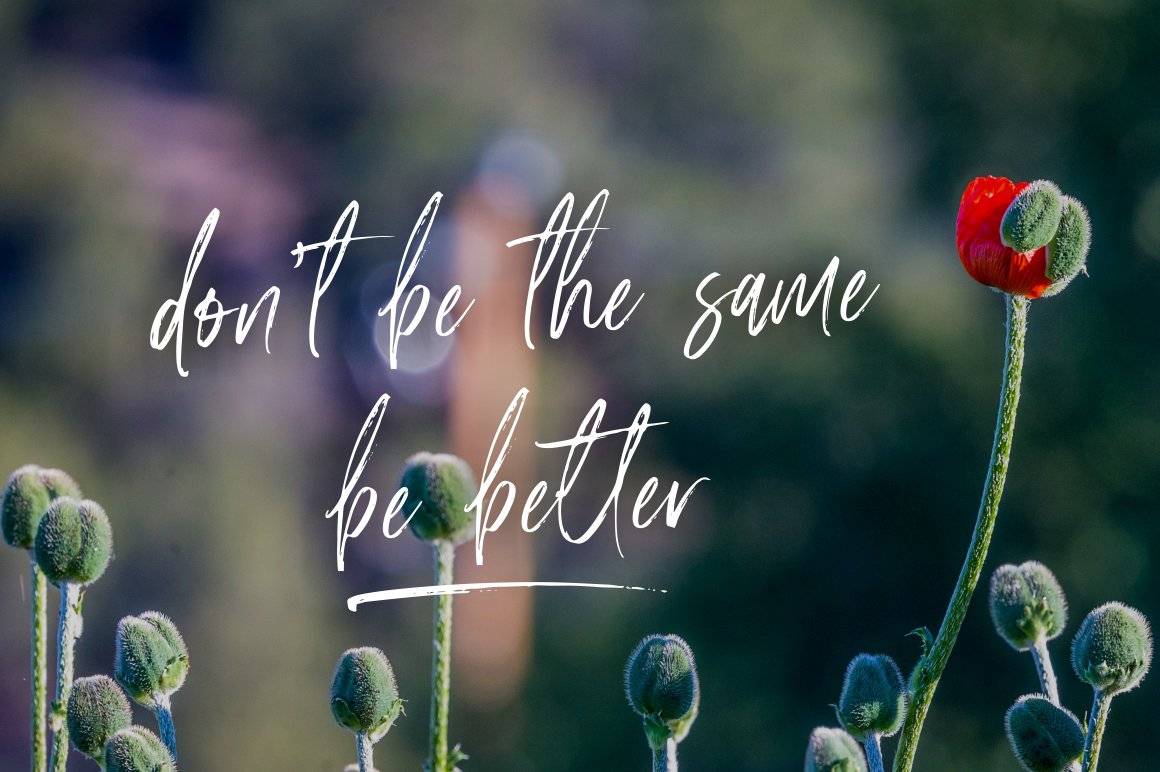 Amourist Handlettering Script Font sample