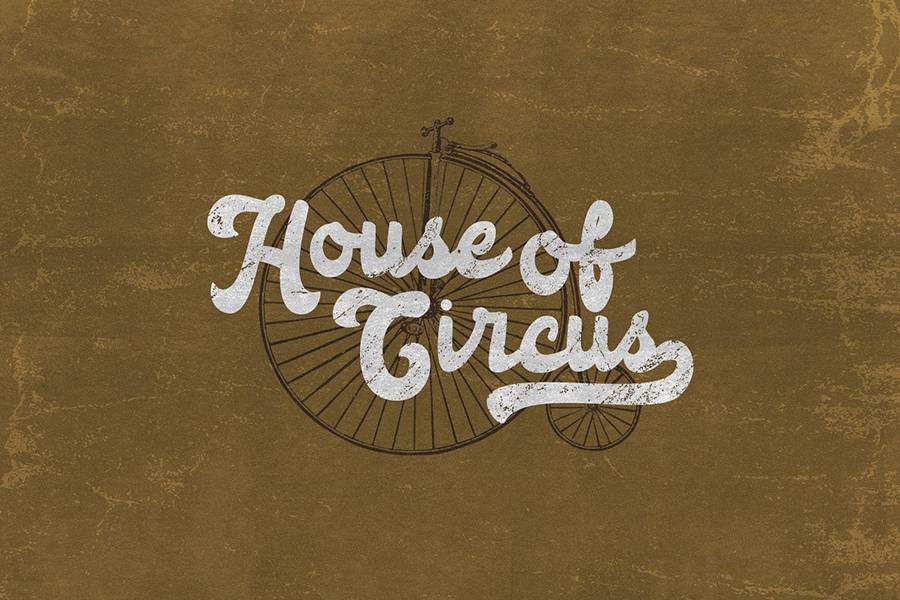 Anggada Vintage Script Demo Font sample