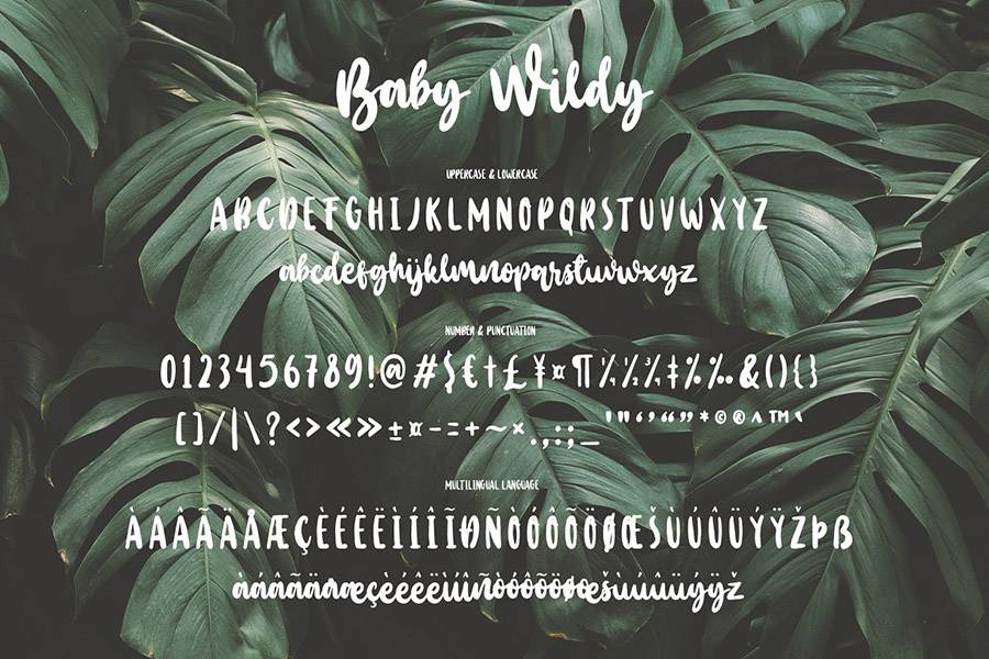 Baby Wildy Handbrush Font sample