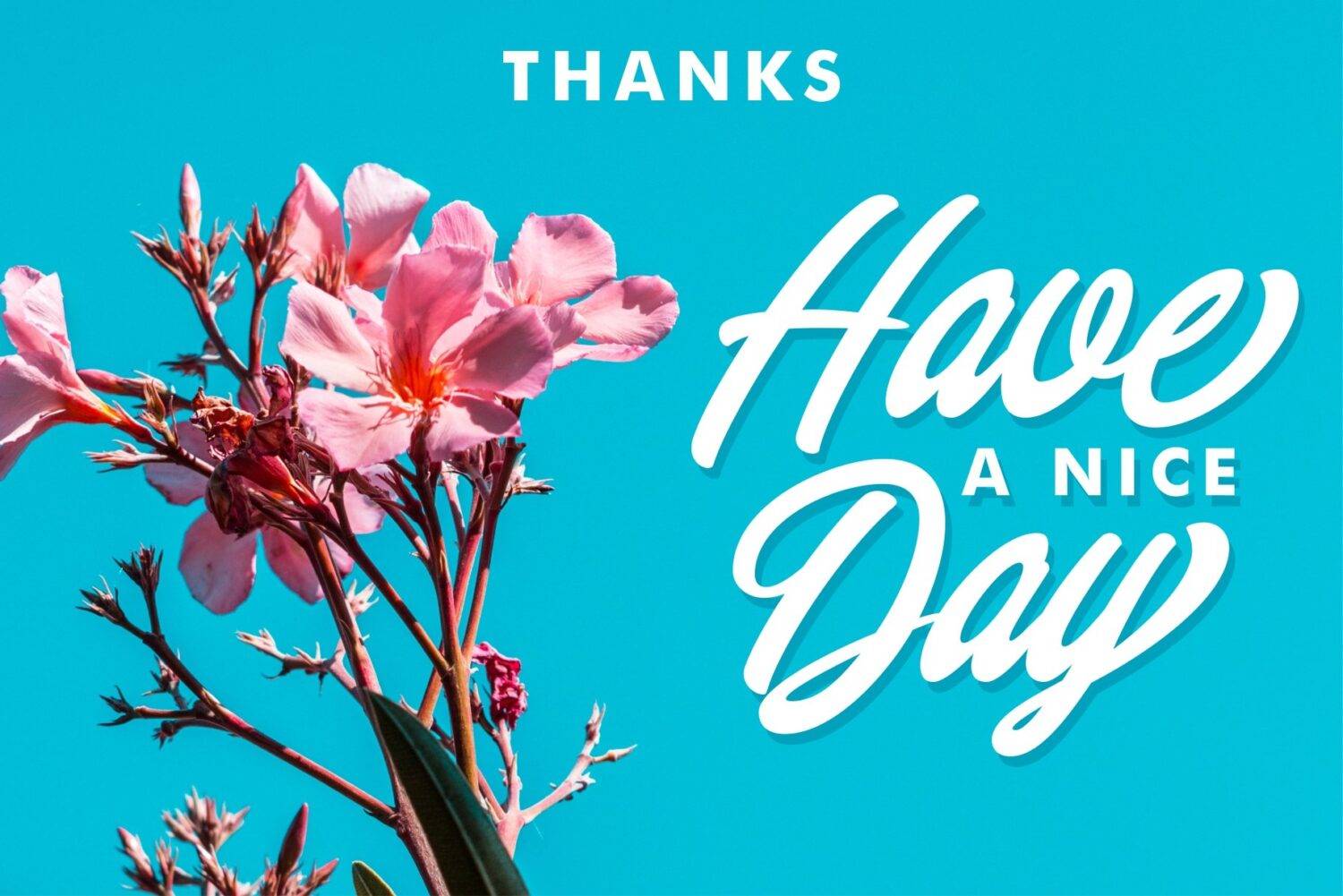 Chillout Handlettering Script sample