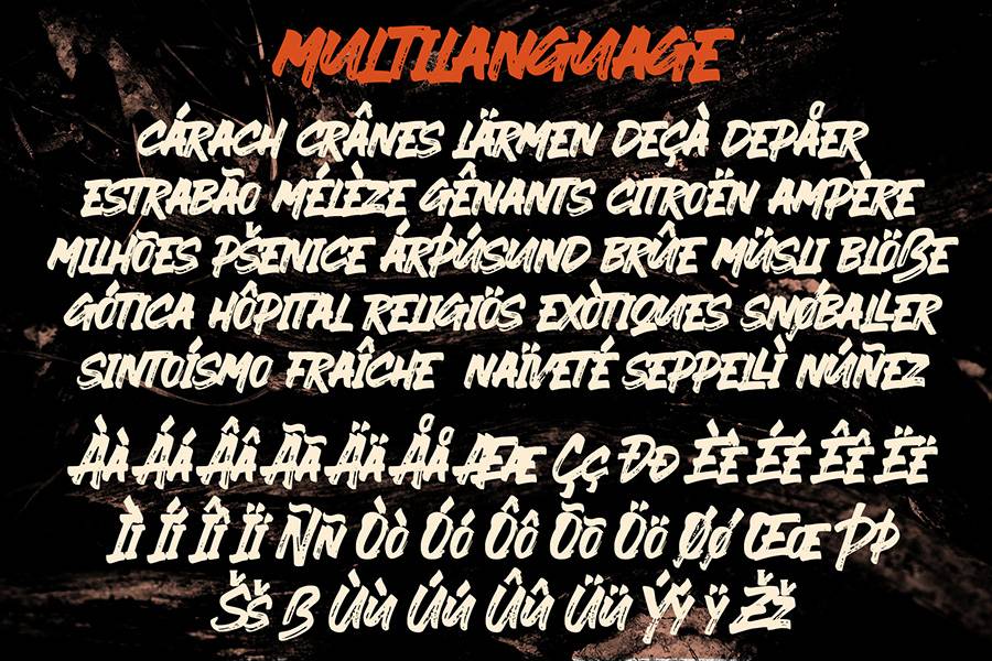 Ever Looser Wild Brush Font sample