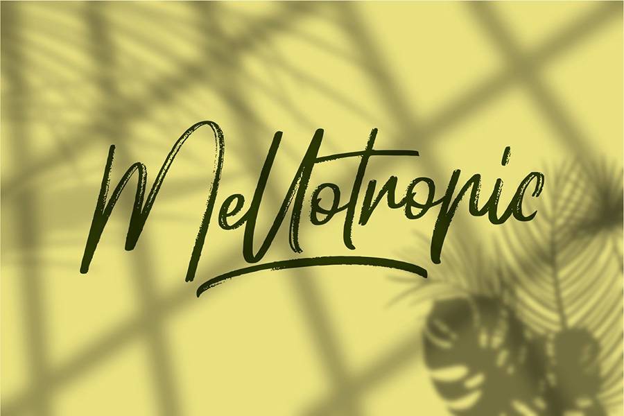 Hellotropica Handbrush Font sample