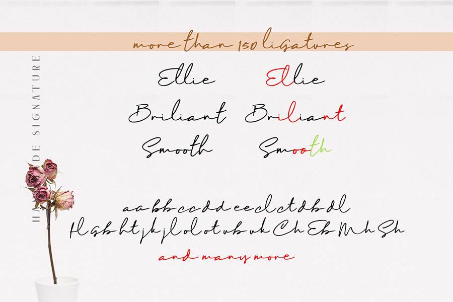 Maddison Signature Script sample