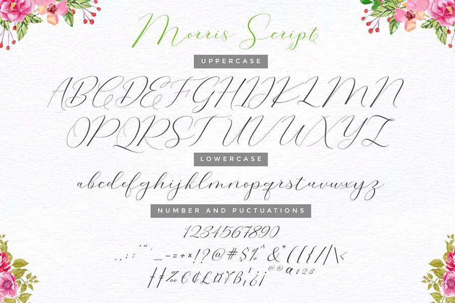 Morris Signature Script Font sample