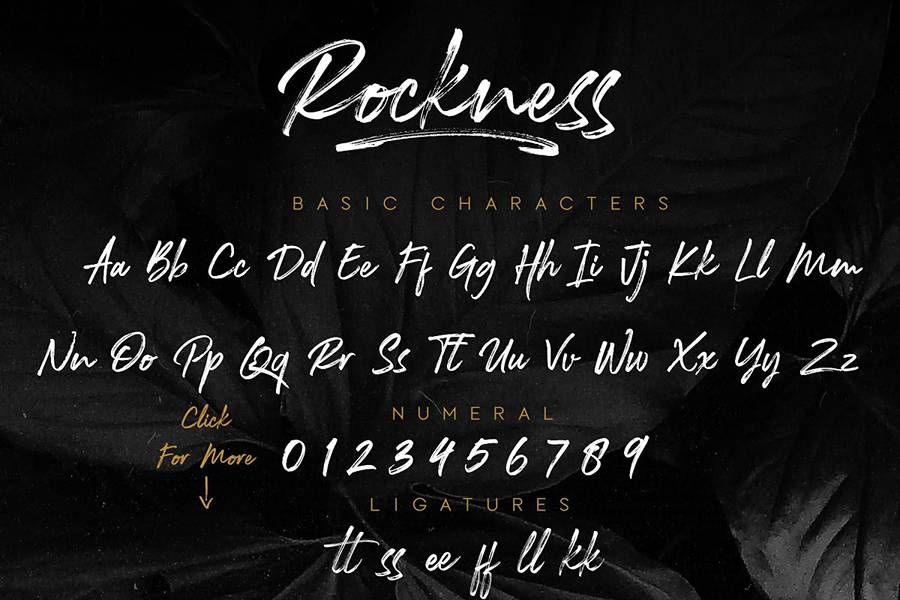Rockness Handbrush Font sample