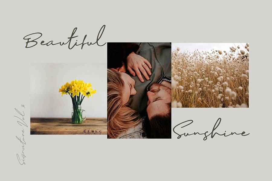 Sophia Bella Signature Font sample