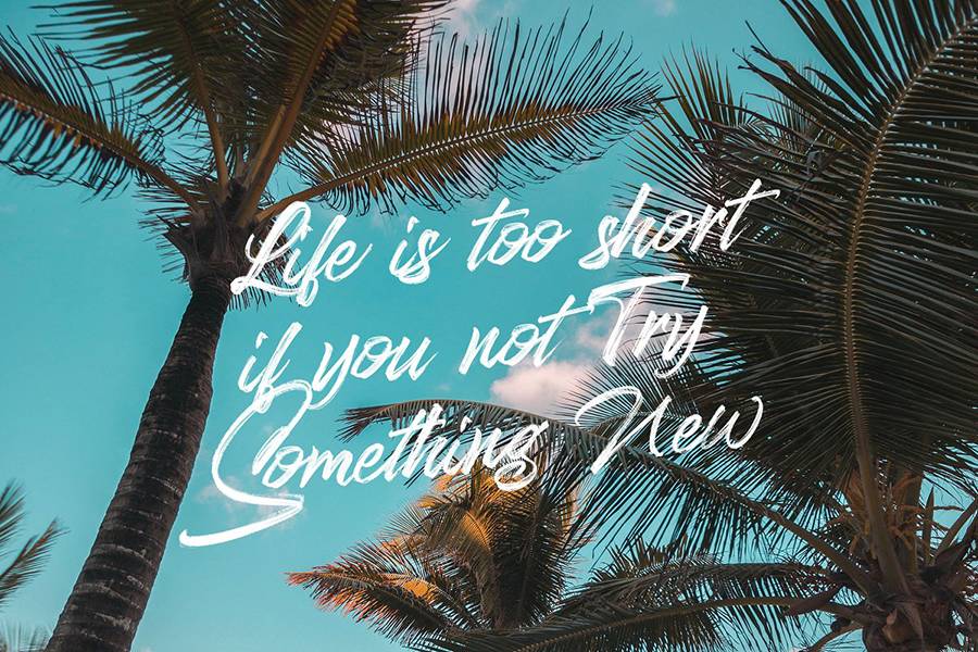 Stereohead Brush Lettering Font sample
