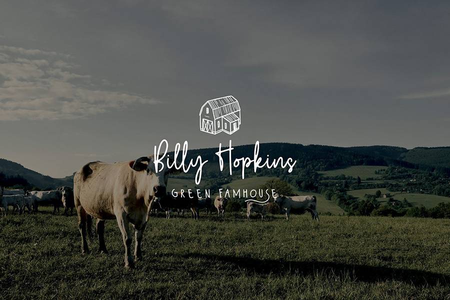 Wildy Sign Signature Font sample