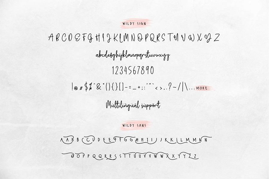 Wildy Sign Signature Font sample