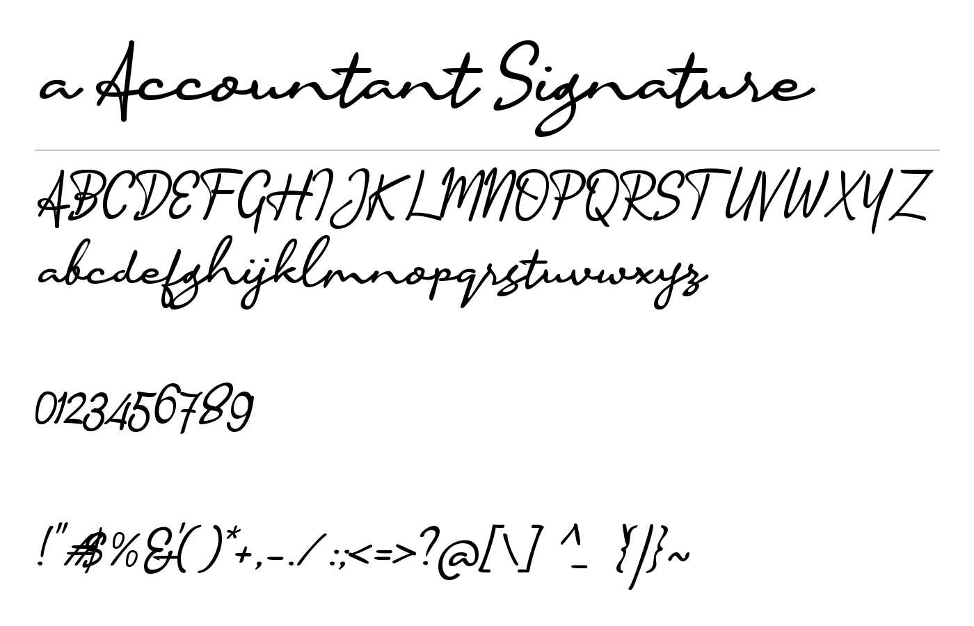 a Accountant Signature Font preview